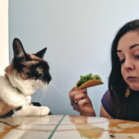 A woman eating a taco at home beside a cat 